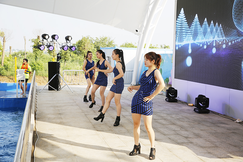 精彩表演